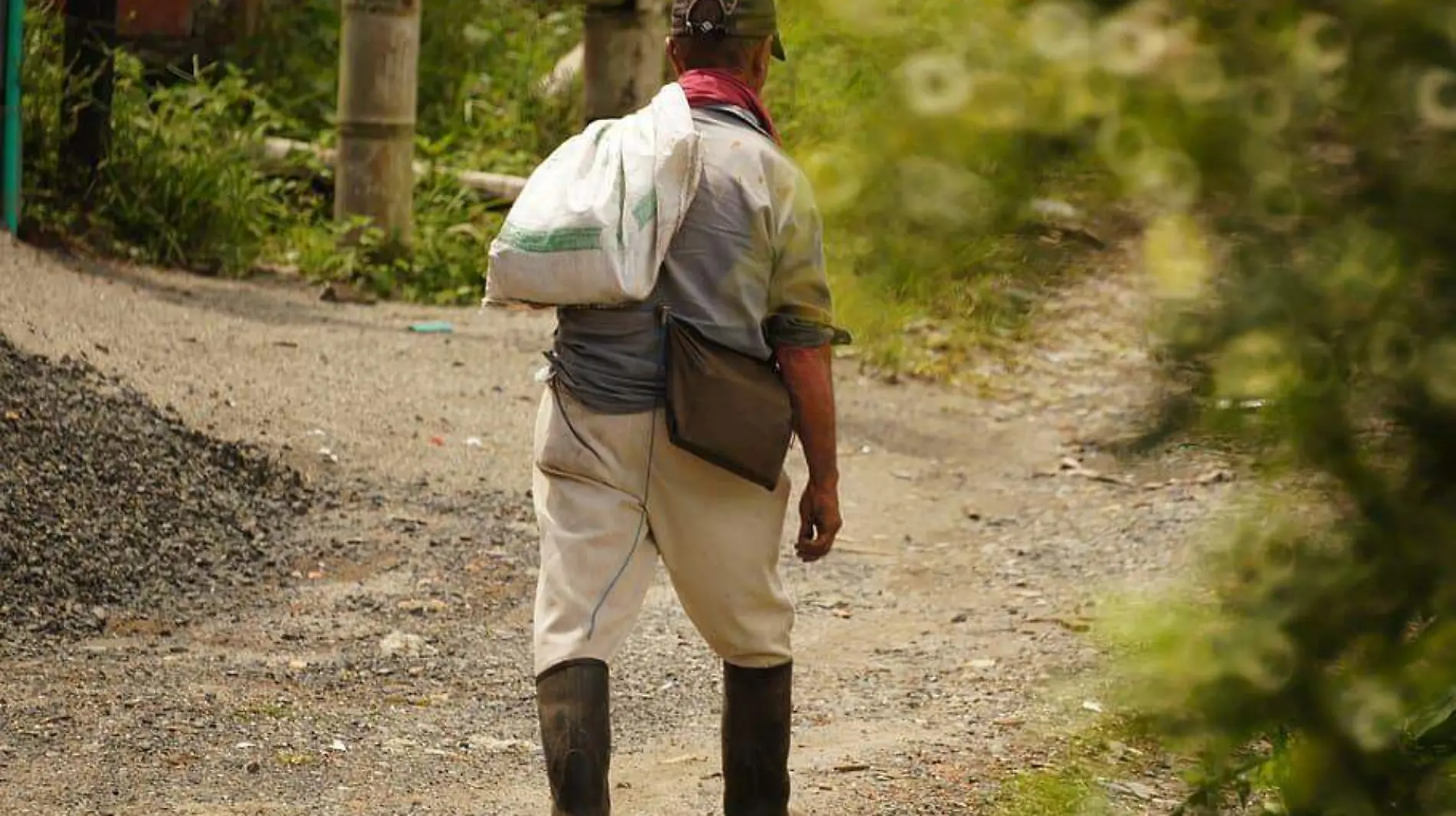 campesino agricultor ejidatario